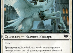 Взлетаем вместе с Pegasus: знакомство с самолетным флотом компании