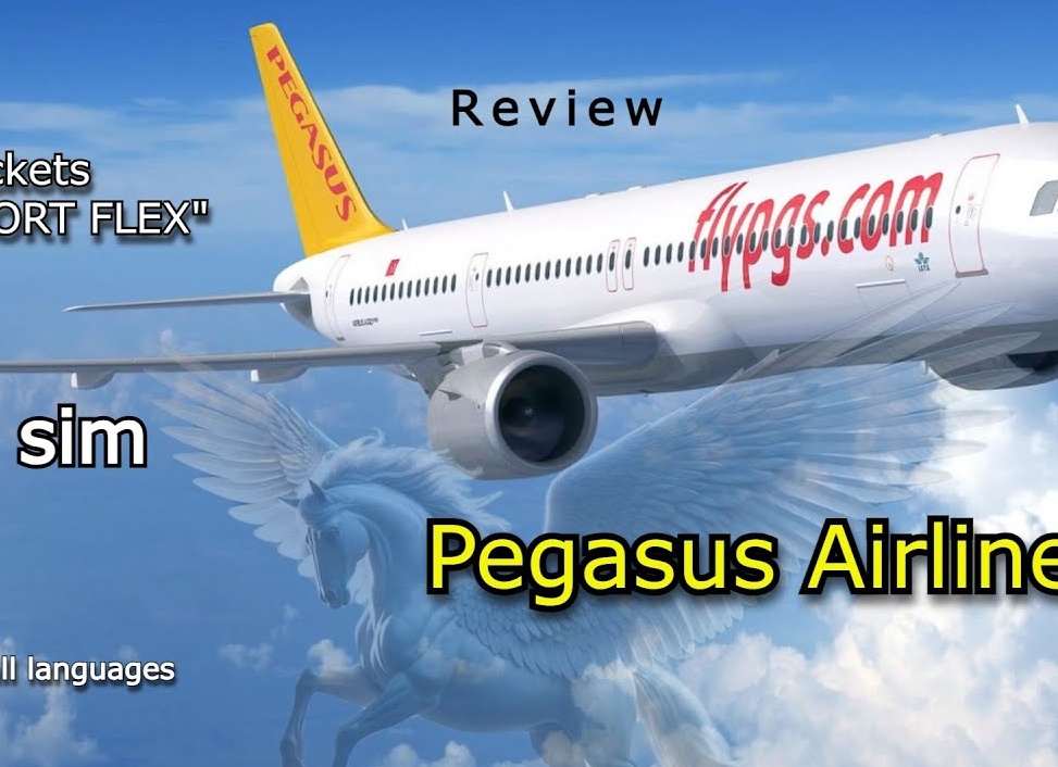 Pegasus: путь от маленькой авиакомпании к лидеру рынка авиаперевозок