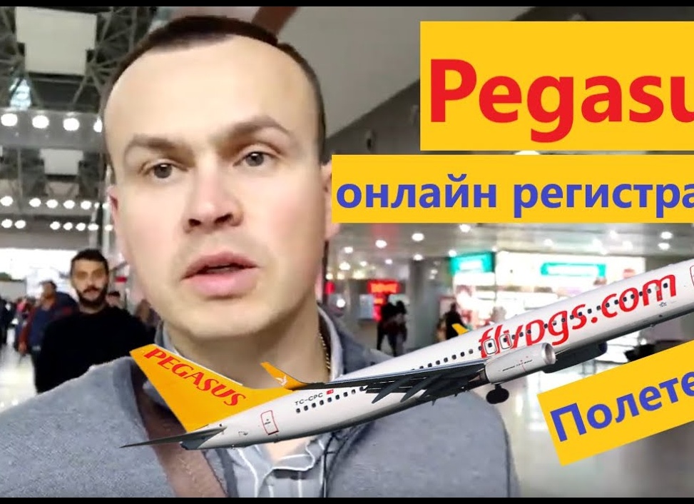 Авиакомпания «Пегасус» — регистрация на рейс онлайн и в аэропорту: правила, сроки