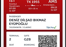 Turkish Аirlines: регистрация на рейс онлайн — правила и особенности