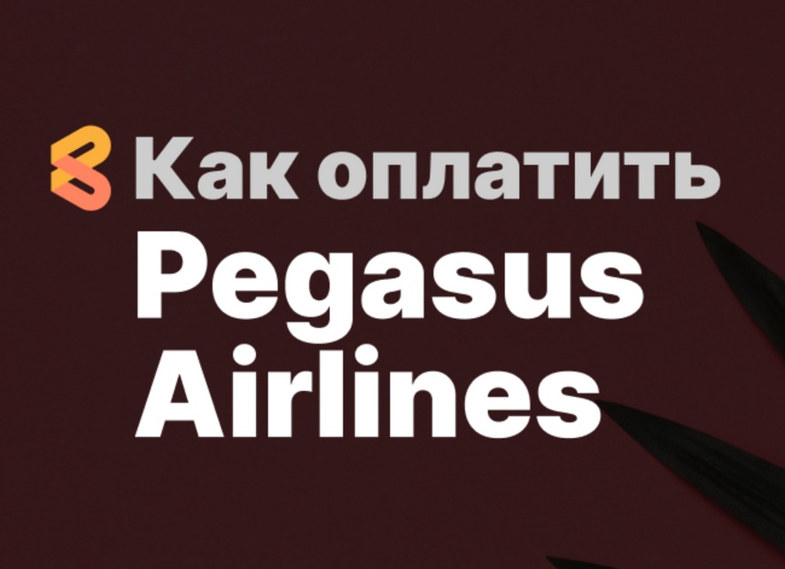 Как оплатить билеты Pegasus Airlines из России, получится ли картой Мир