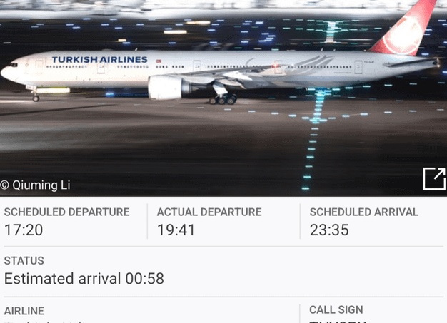Под крылом Pegasus: куда летит турецкий лоукостер?